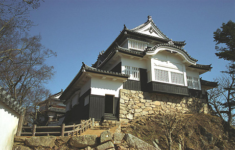 http://all-castles.com/media/img/castles/Bitch_Matsuyama_Castle1.jpg