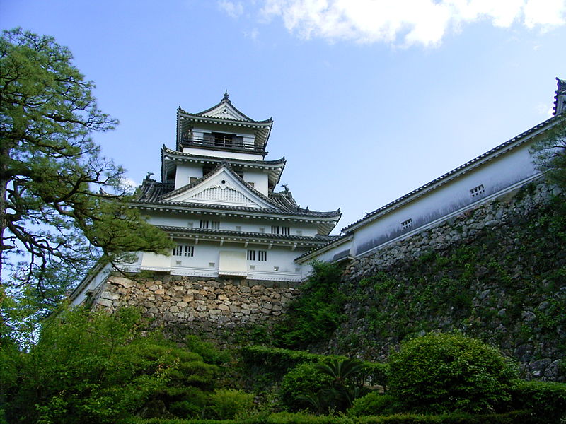 http://all-castles.com/media/img/castles/Kochi_Castle1.JPG